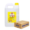 Ottogi Corn Syrup (5Kg X 3) Box